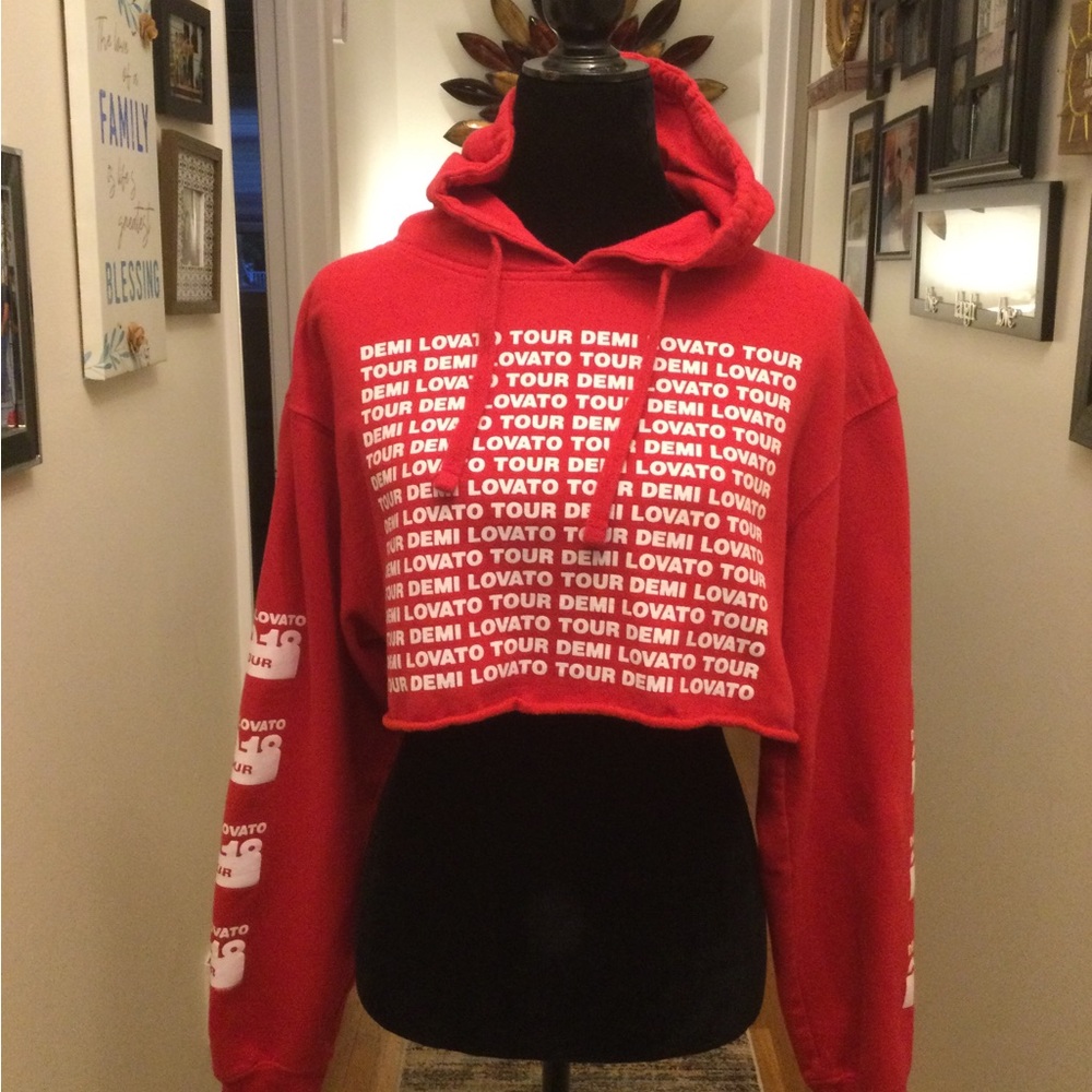 Demi Lovato Tour cropped Hoodie Size S